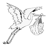 Storch-Logo